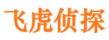 竹溪市私家侦探